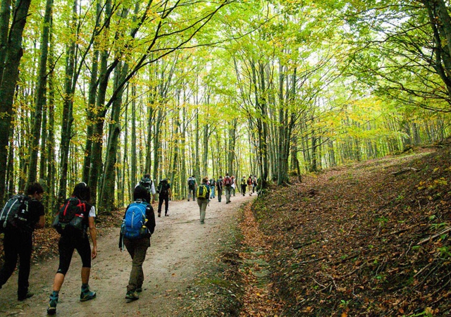 ECOLOGIA